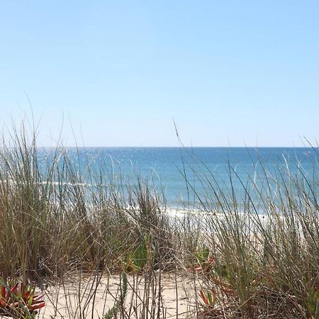 Green Element Guesthouse Costa da Caparica Dış mekan fotoğraf